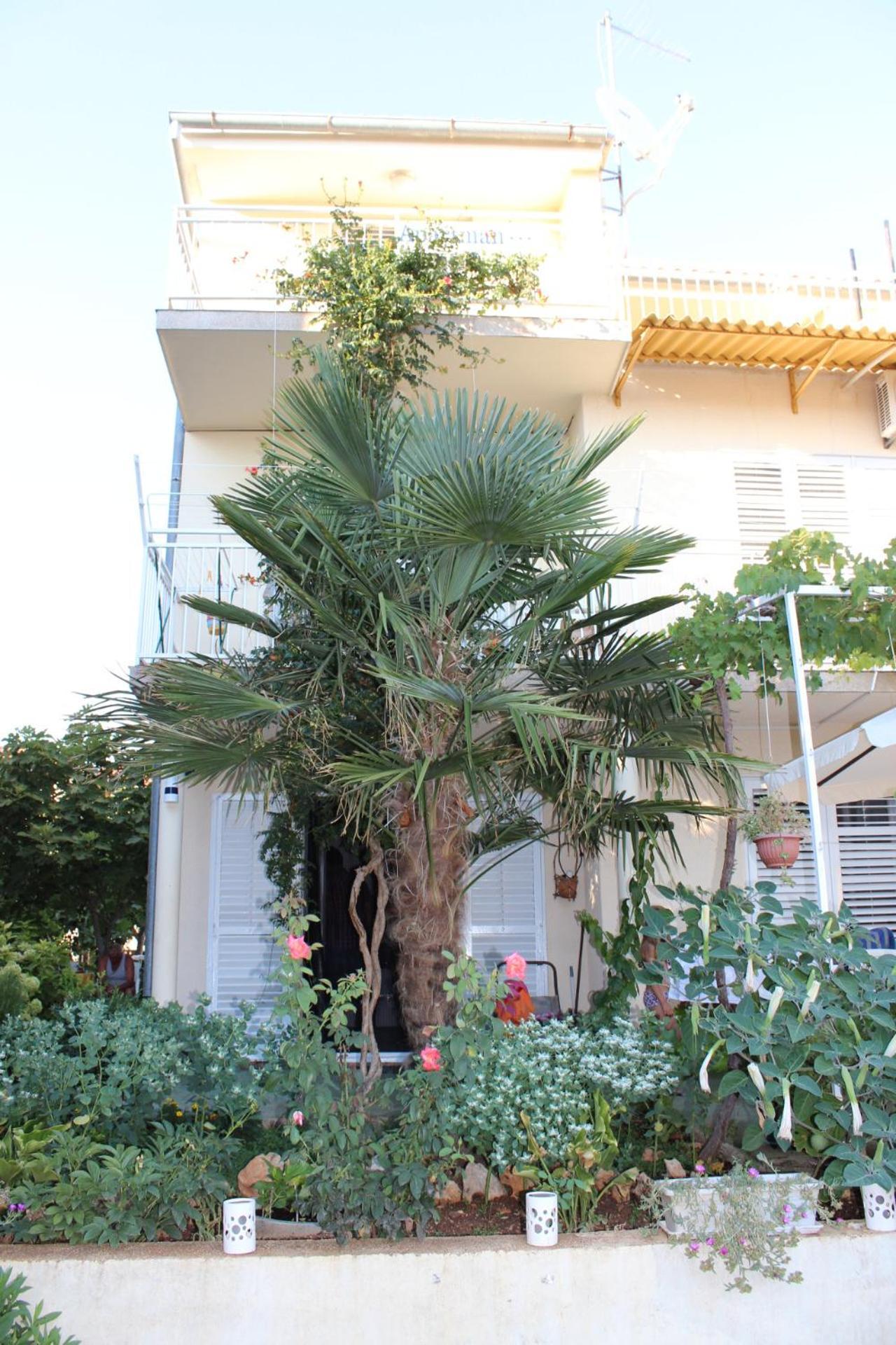 Apartments Miriam Srima فوديس المظهر الخارجي الصورة